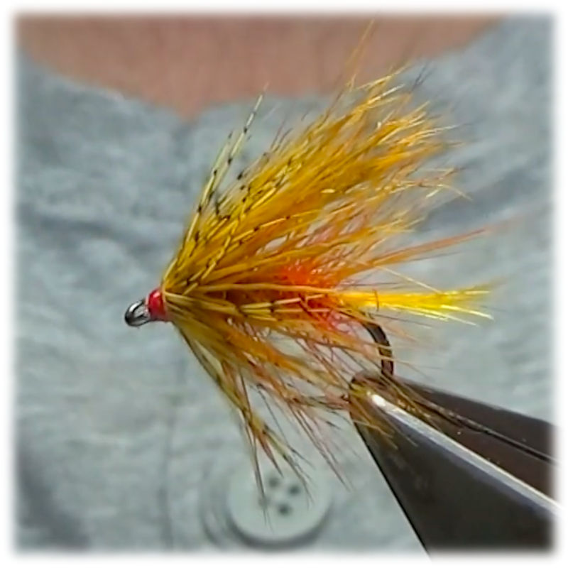 Tony O Sullivans Golden Irish Bumble