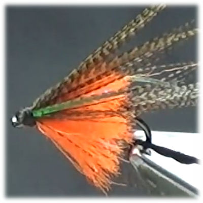 The Perch Fry Dabbler
