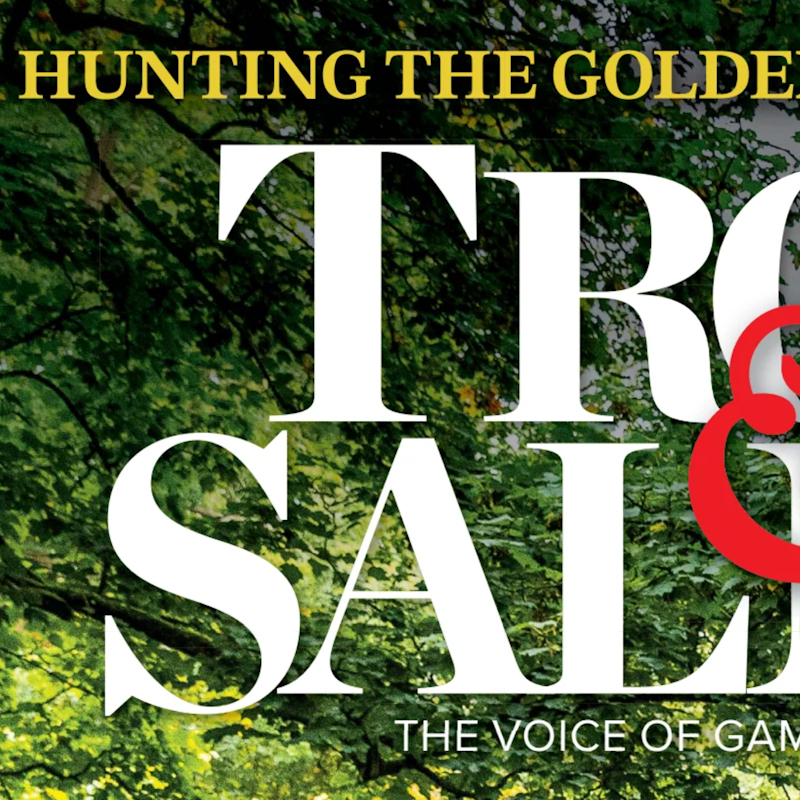 Hunting the Golden lads of Lough Arrow