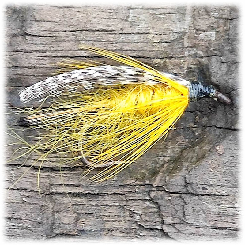 Teal and Yellow