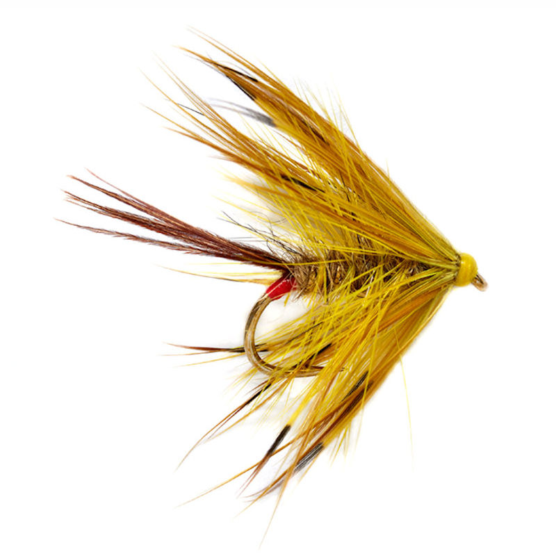 Jackie's Yellow Mayfly