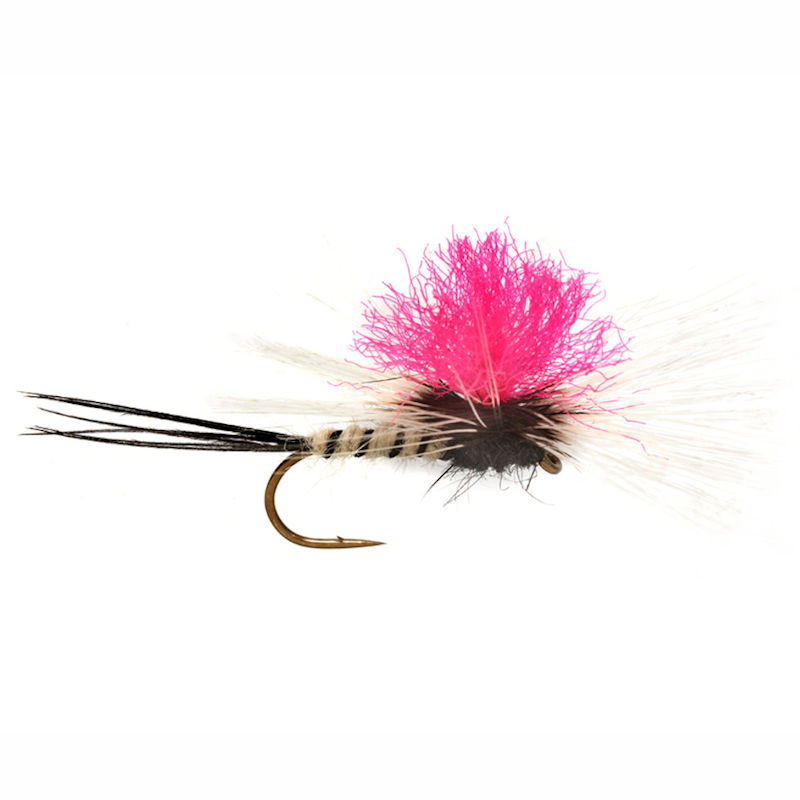 Jackie's Spent Pink Para May