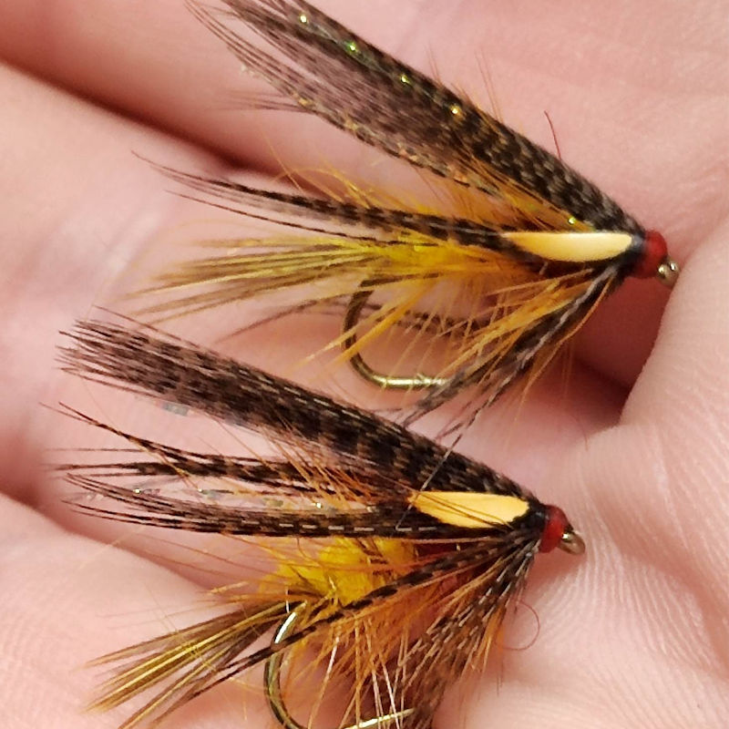 Cast of Flies for Irish Loughs- Cock Robin Dabbler