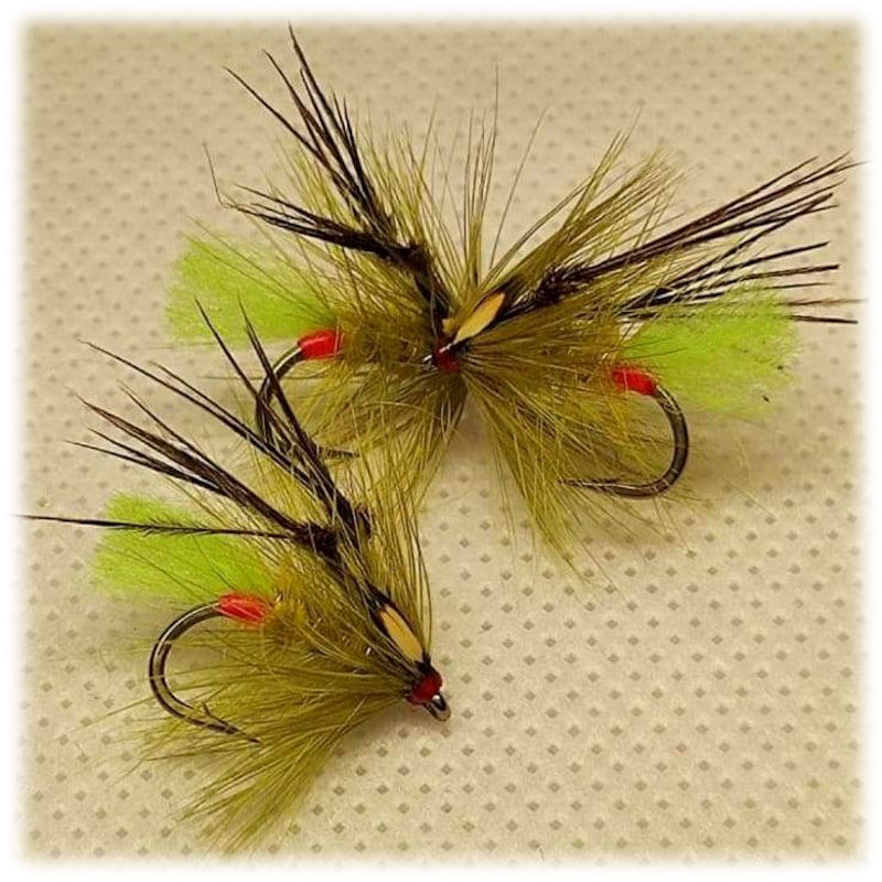 Picric Olive George