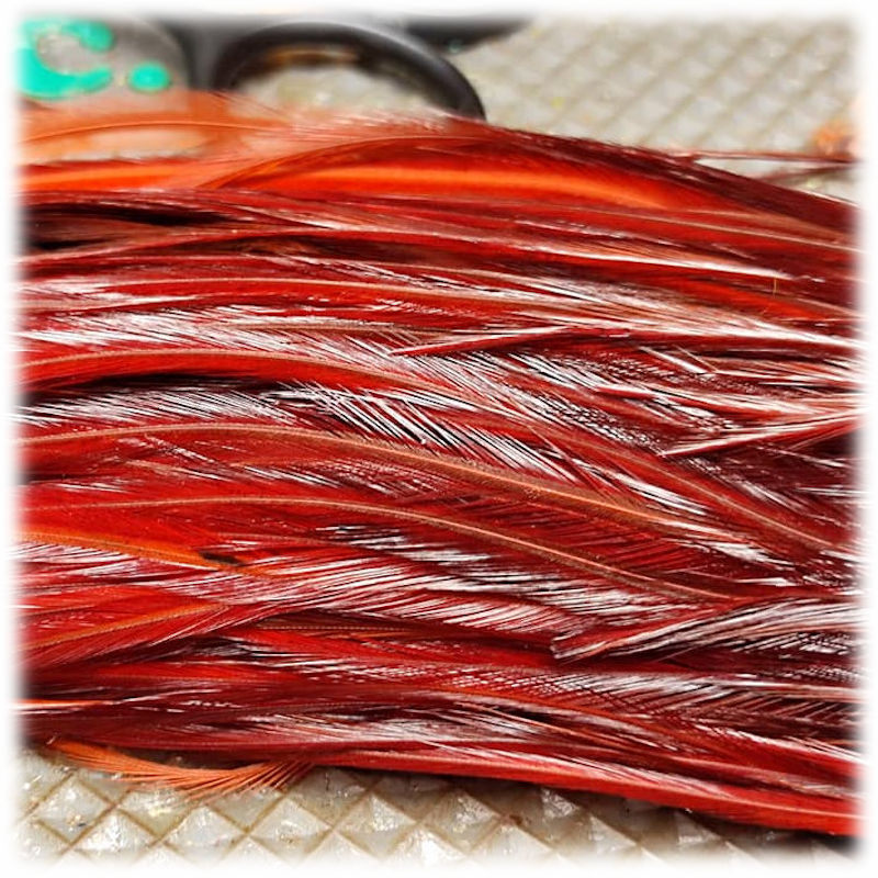 Fiery Brown Saddle