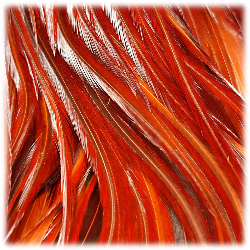 Fiery Brown Saddle