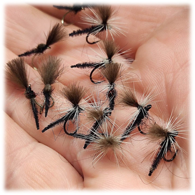 Palomino Midge