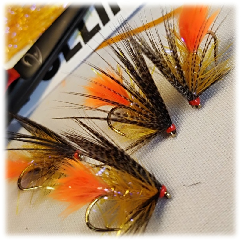 UV Irish Golden Dabbler