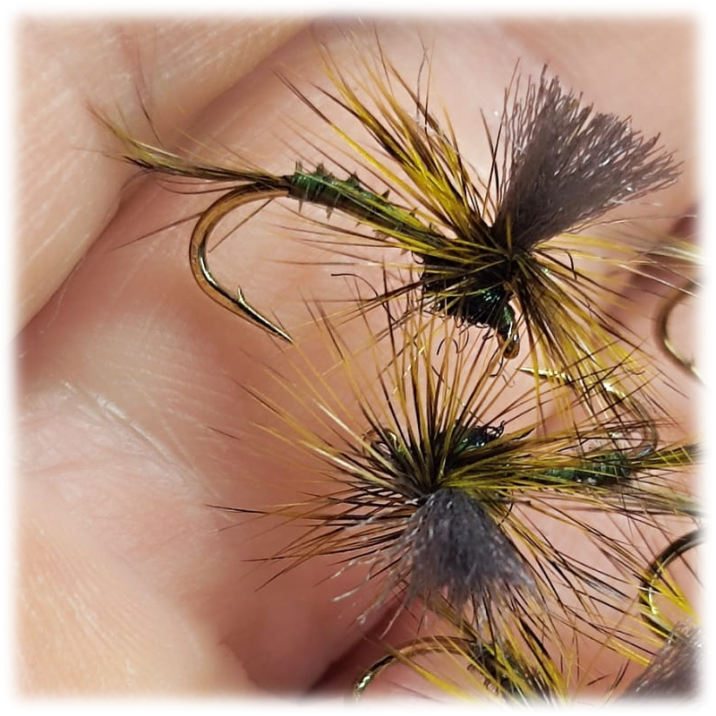 Parachute Olive