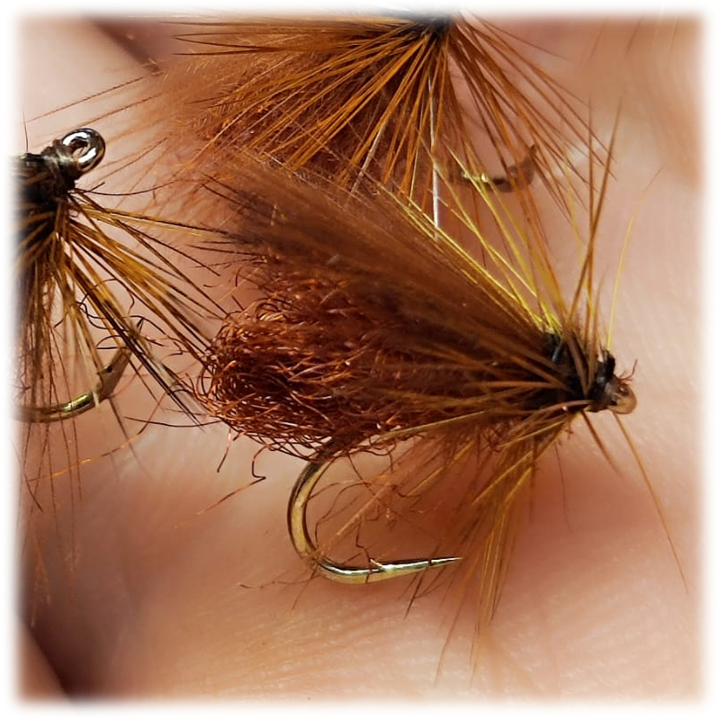 Jackie's Hatching Button Sedge